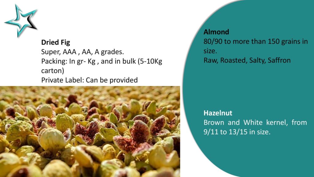 StarLine Biz Company Profile Products_00010